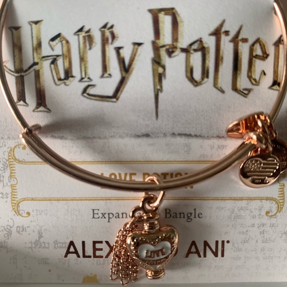Jewelry - Harry Potter, Alex & Ani bracelet